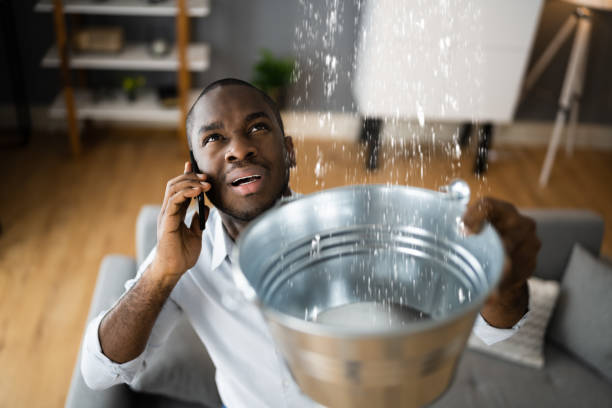 Best Mold removal after water damage  in West Lake Hills, TX