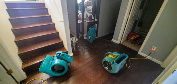 Best Flood restoration services  in West Lake Hills, TX