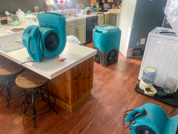 Best 24/7 water damage repair  in West Lake Hills, TX