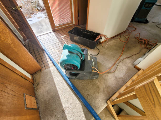 Best Water damage restoration near me  in West Lake Hills, TX