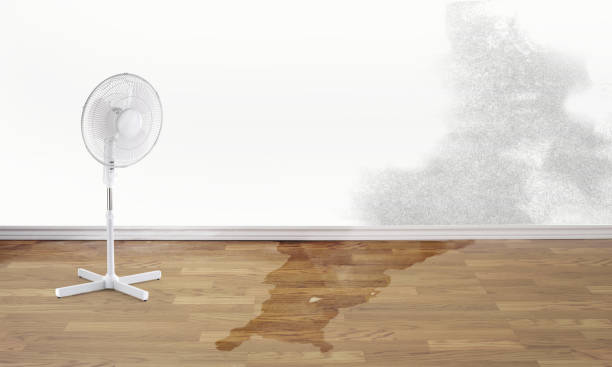 Best Fire Damage Restoration  in West Lake Hills, TX