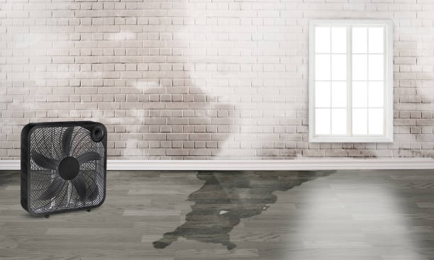 Best Commercial water damage restoration  in West Lake Hills, TX