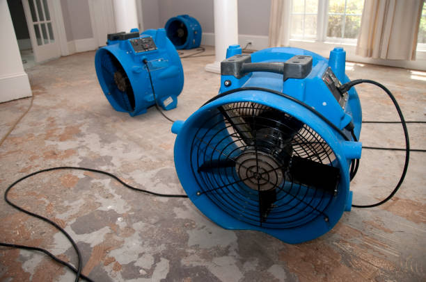 Best 24-hour water damage restoration  in West Lake Hills, TX