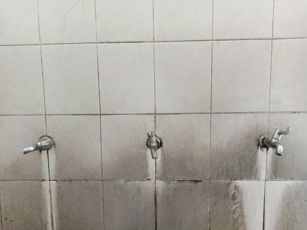 Best Ceiling water damage repair  in West Lake Hills, TX